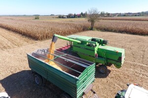Fantastičan prinos hibrida RGT LEXXTOUR u pokusu OPG Štefanec Senke - 22.052 kg/ha