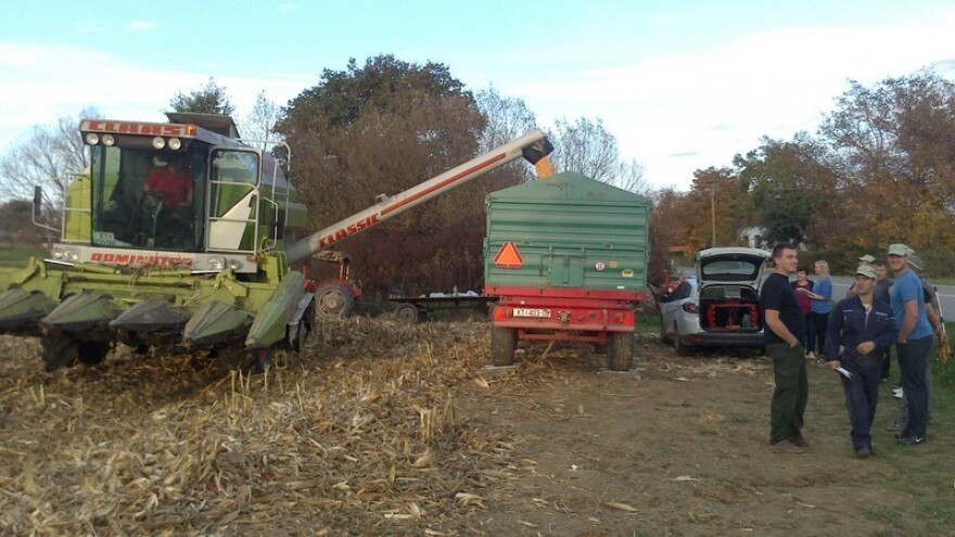 Koji hibrid odabrati?