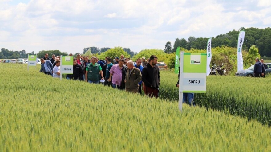 RWA pokus pšenice na polju Ivana Ostrihona: Prosječni prinos 11.654 kg/ha