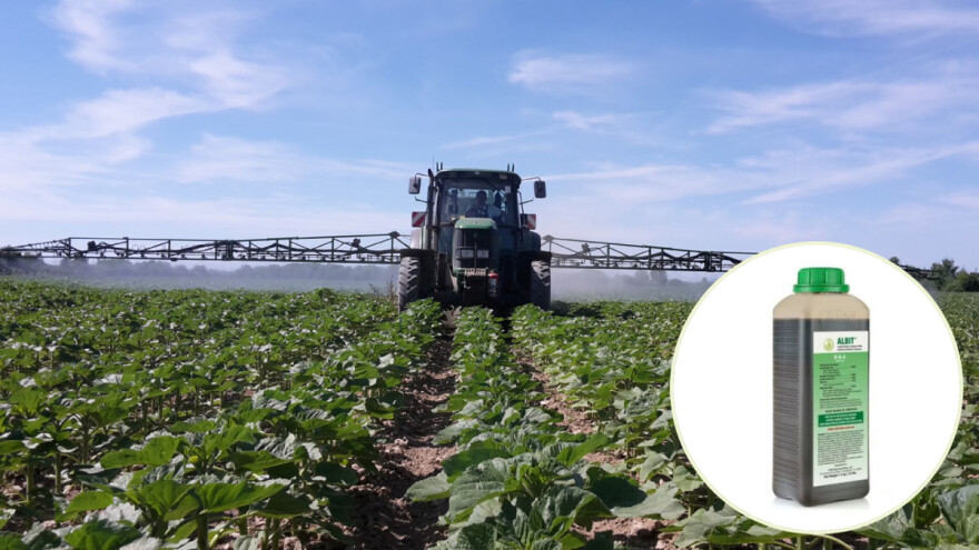 Prirodni stimulator rasta ALBIT povećava prinose i do 17%