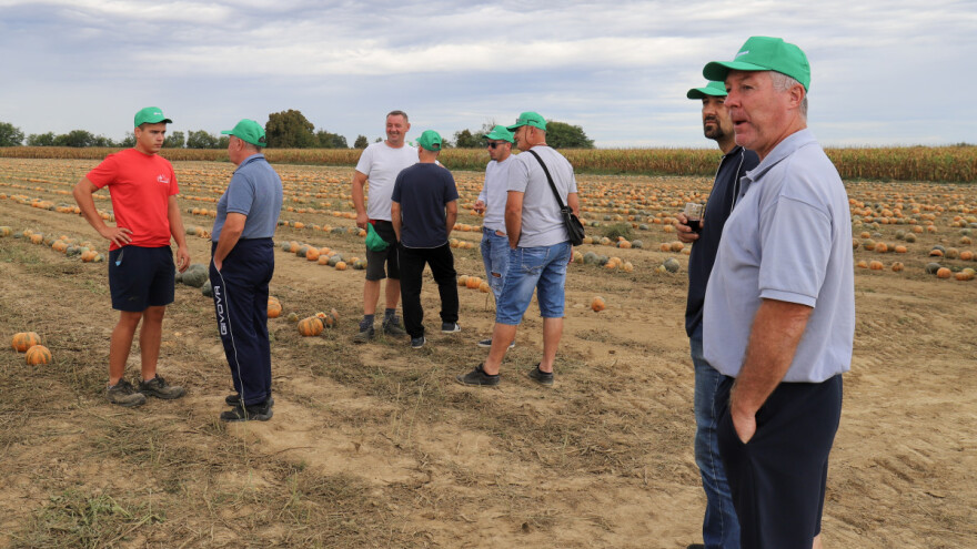 Na Danu polja RWA uljane tikve prikazano pet kultivara