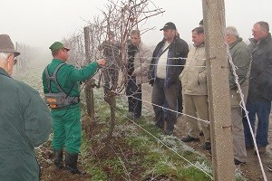 Prezentacija Vinarskog centra RWA u Erdutu
