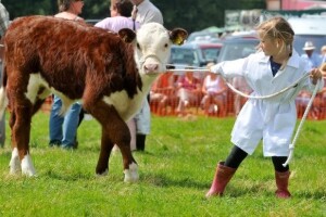 Ryedale Show sa stočarskom izložbom