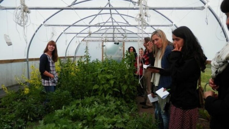 Hrvatski čuvari sjemenske baštine u Engleskoj