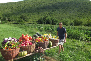 Ivin dvor - gdje je zemlja platno, a sjemenke boje