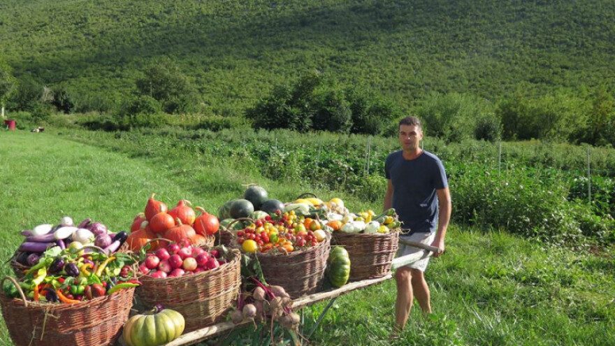 Ivin dvor - gdje je zemlja platno, a sjemenke boje