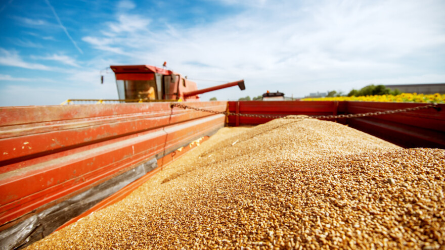 HPK: Kuna za kilogram pšenice je ispod očekivanja i realnih troškova