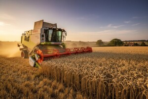 Sa hektara skinuo 16,5 tona pšenice