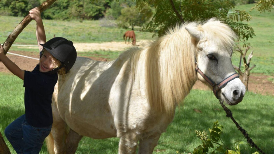 Dječak (7) prodajom limunade zaradio za ponija!