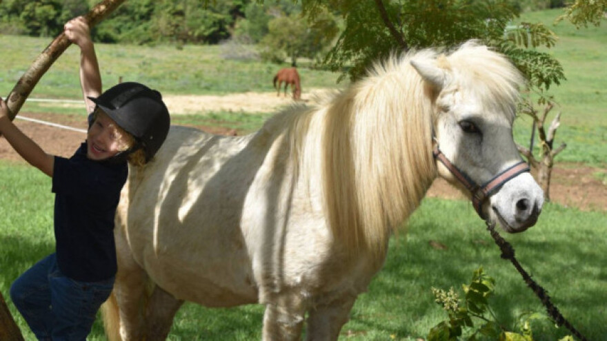 Prodajom limunade zaradio za ponija!
