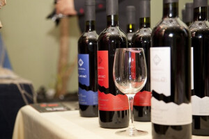 Sudjelujte na vinogradarskom susretu Sabatina