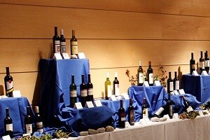 23. Međunarodni susret vinogradara i vinara