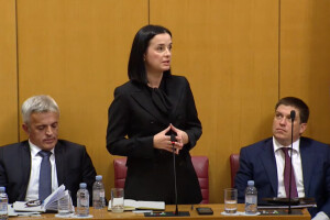 Burno u Saboru na glasanju o opozivu ministrice Vučković: Hoćemo li sad poubijati i svu perad?