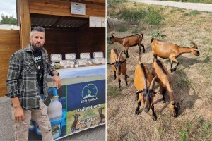 Sadam čeka kupce za 400 kilograma sira, a na uvozni odlaze milioni maraka