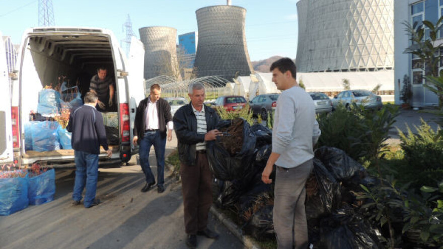 Voćarima isporučeno 20.259 komada sadnica maline