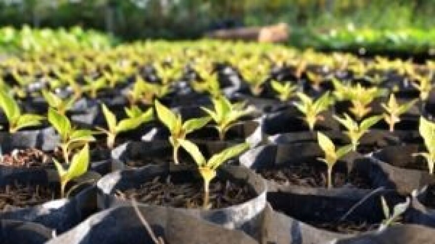 1. Proljetni sajam Brčko