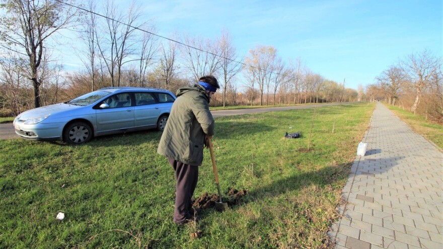 Za 30. rođendan posadio 30 stabala oraha