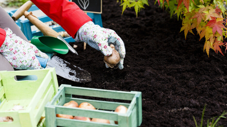 Septembar idelan za negu cveća