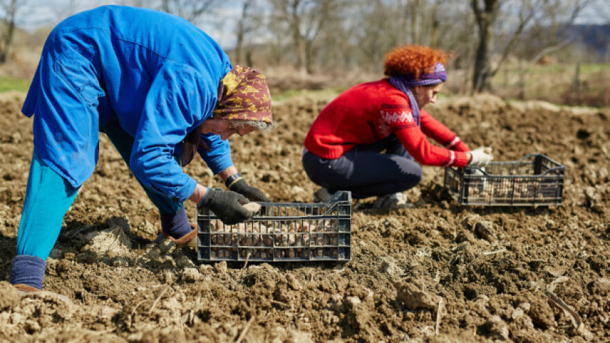 Nadnica mnogima jedini način da prežive