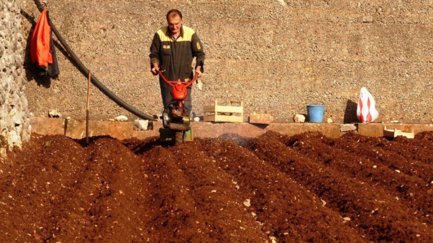 Krenula sadnja krumpira, zabrinjava plasman
