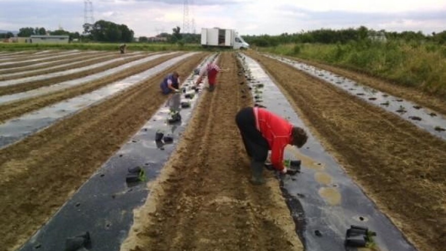 Poništeni natječaji za zakup u središnjoj Hrvatskoj