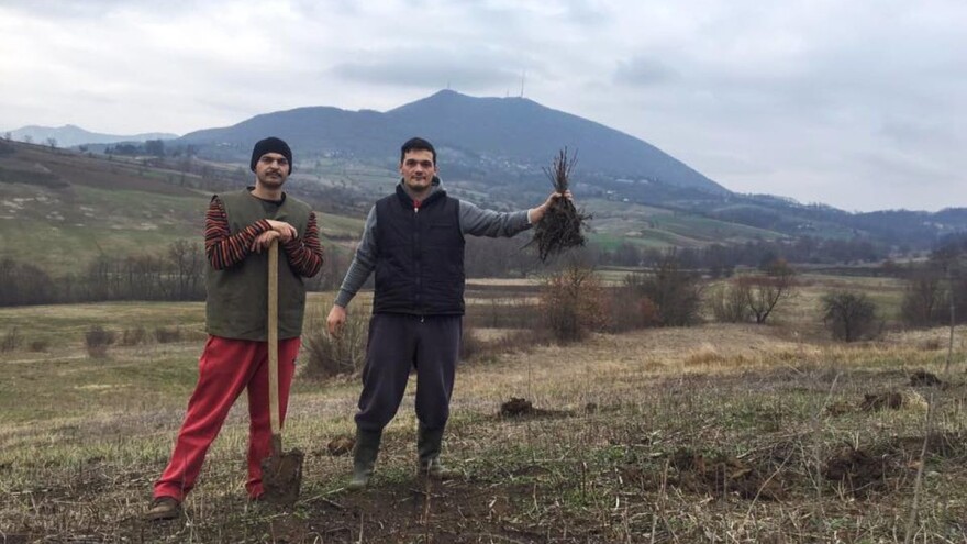 U selu kod Čačka posadio šumu da proizvodi kiseonik za sadašnje i buduće generacije