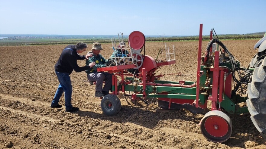 Erdutski vinogradi: U tijeku je sadnja chardonnaya na njihovoj najboljoj lokaciji