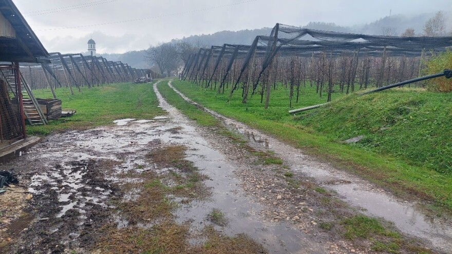 Amaterizam skupo košta: Voćnjak na plavljenom terenu, ima li pomoći?