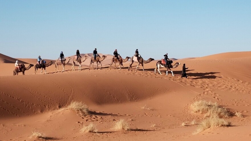 Znanstvenici otkrili: Sahara bi mogla ponovno postati plodna