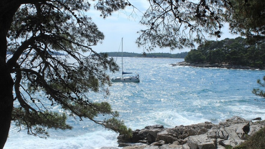 Predavanje za privatne šumoposjednike u Istarskoj županiji