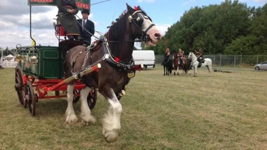 173. Poljoprivredni sajam Čersi u Engleskoj