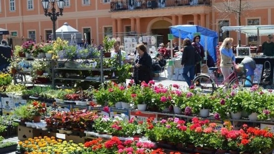 Festival cveća u Somboru