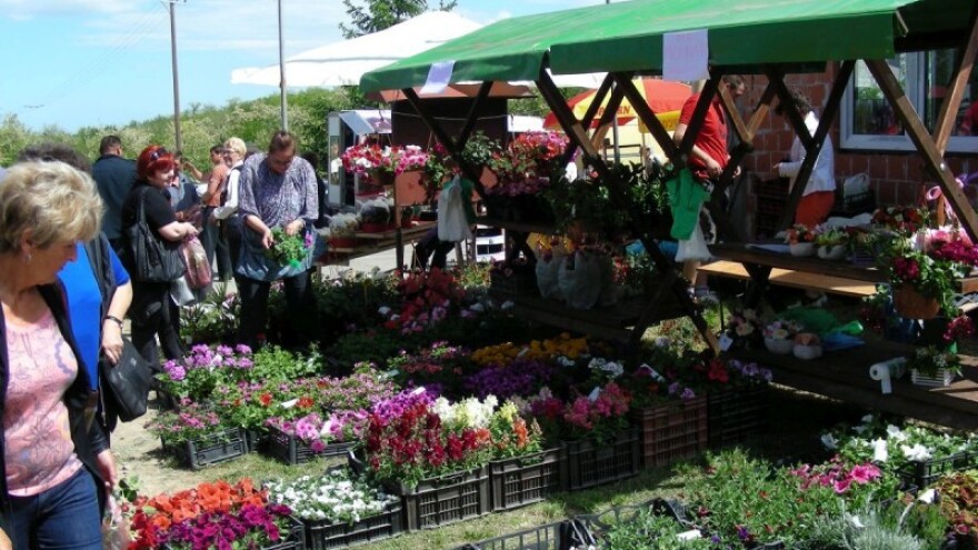 Doživite čarobno proljeće u Dalj Planini!