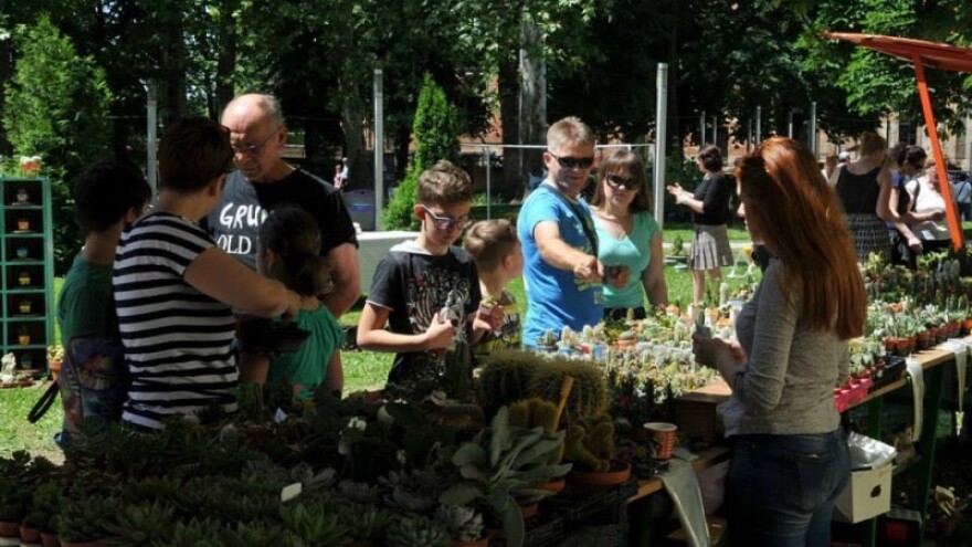 Sisačka cvjetna bajka