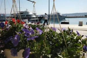 Cvjetno proljeće u Crikvenici okupilo brojne izlagače, ali i kupce!