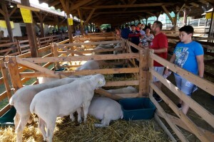 Farmer Expo 2018 po 27. put u Mađarskoj