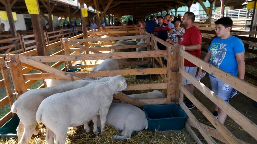 Farmer Expo 2018 po 27. put u Mađarskoj