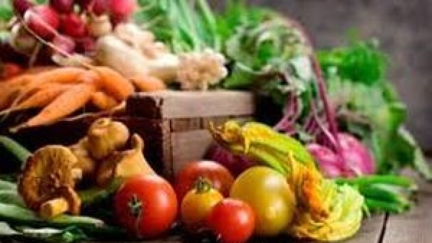 20. Sajam ekologije u Crnoj Gori