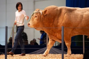 Vodeći sajam za animalnu proizvodnju - EuroTier u Hanoveru