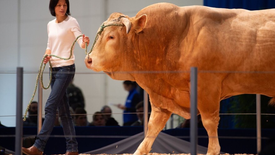 Vodeći sajam za animalnu proizvodnju - EuroTier u Hanoveru