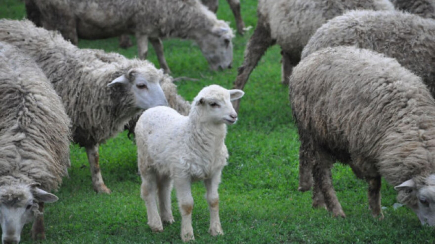 Zelena industrija - eko proizvodi na jednom mjestu