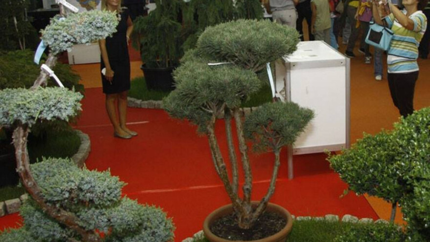 Hortikultura u oktobru na Novosadskom sajmu