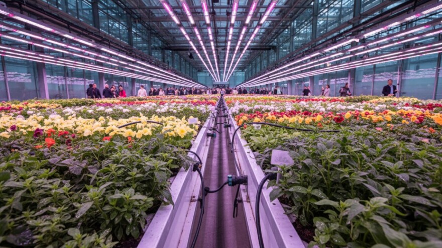 Sajam hortikulture Horti Fair