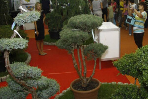 Hortikultura u oktobru na Novosadskom sajmu
