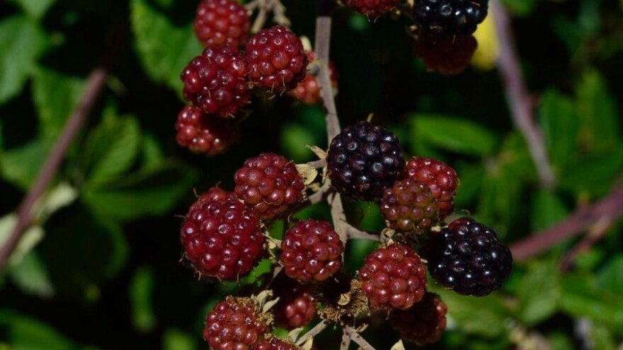 Sajam turizma i eko proizvoda