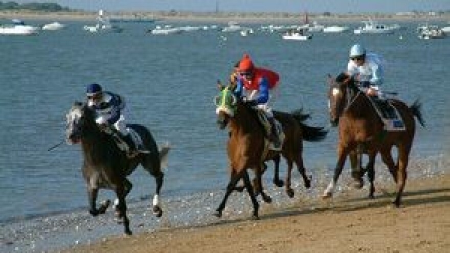 Sajam konjogojstva i konjičke opreme - Fieracavalli