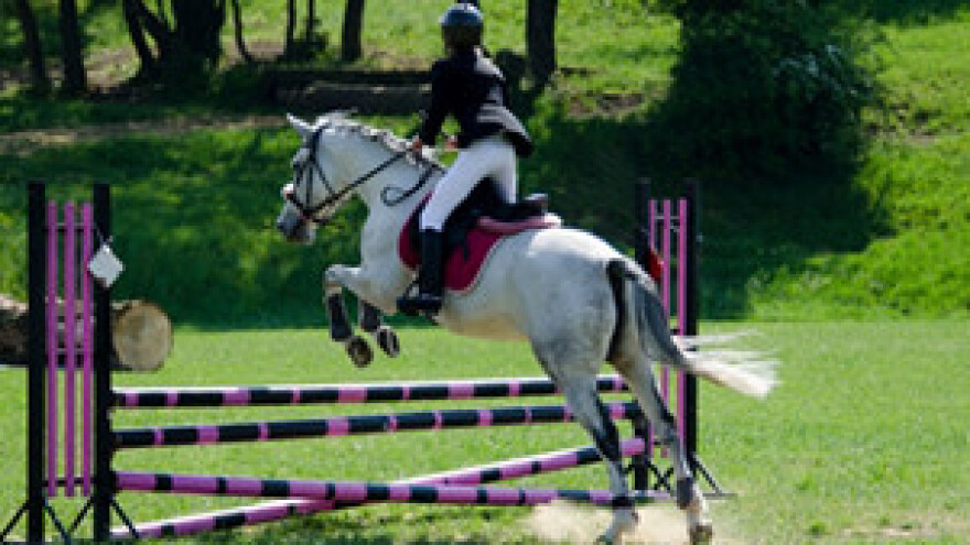 5. Međunarodni sajam konjarstva