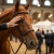 Sajam konjogojstva i konjičke opreme - Fieracavalli