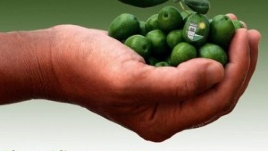 Sajam ekstra djevičanskih maslinovih ulja u Krasici