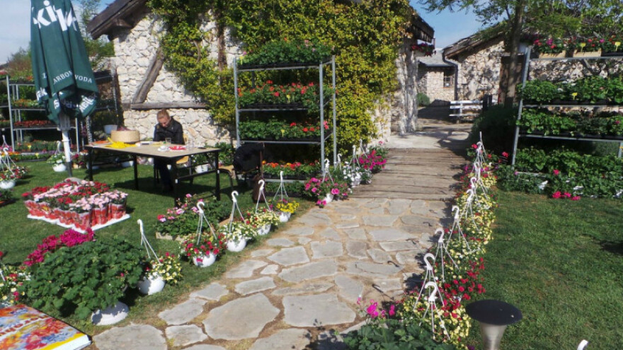 Hrabri izlagači se predstavili na sajmu cvijeća